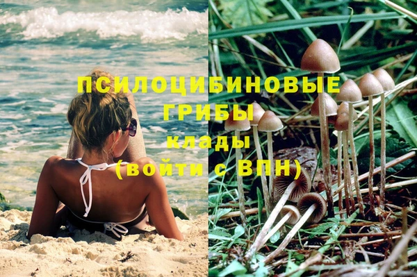 герыч Богородск